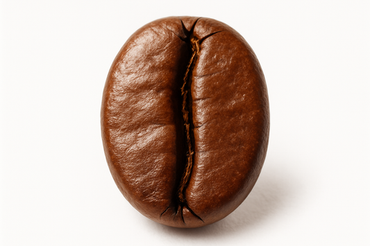 new coffee bean